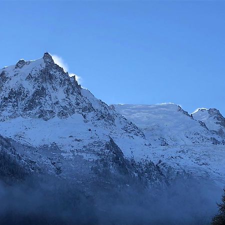 Les Alpins - Centre De Chamonix - Renove Avec Jardin Et Vue Imprenable Sur Le Montblanc Apartamento Exterior foto