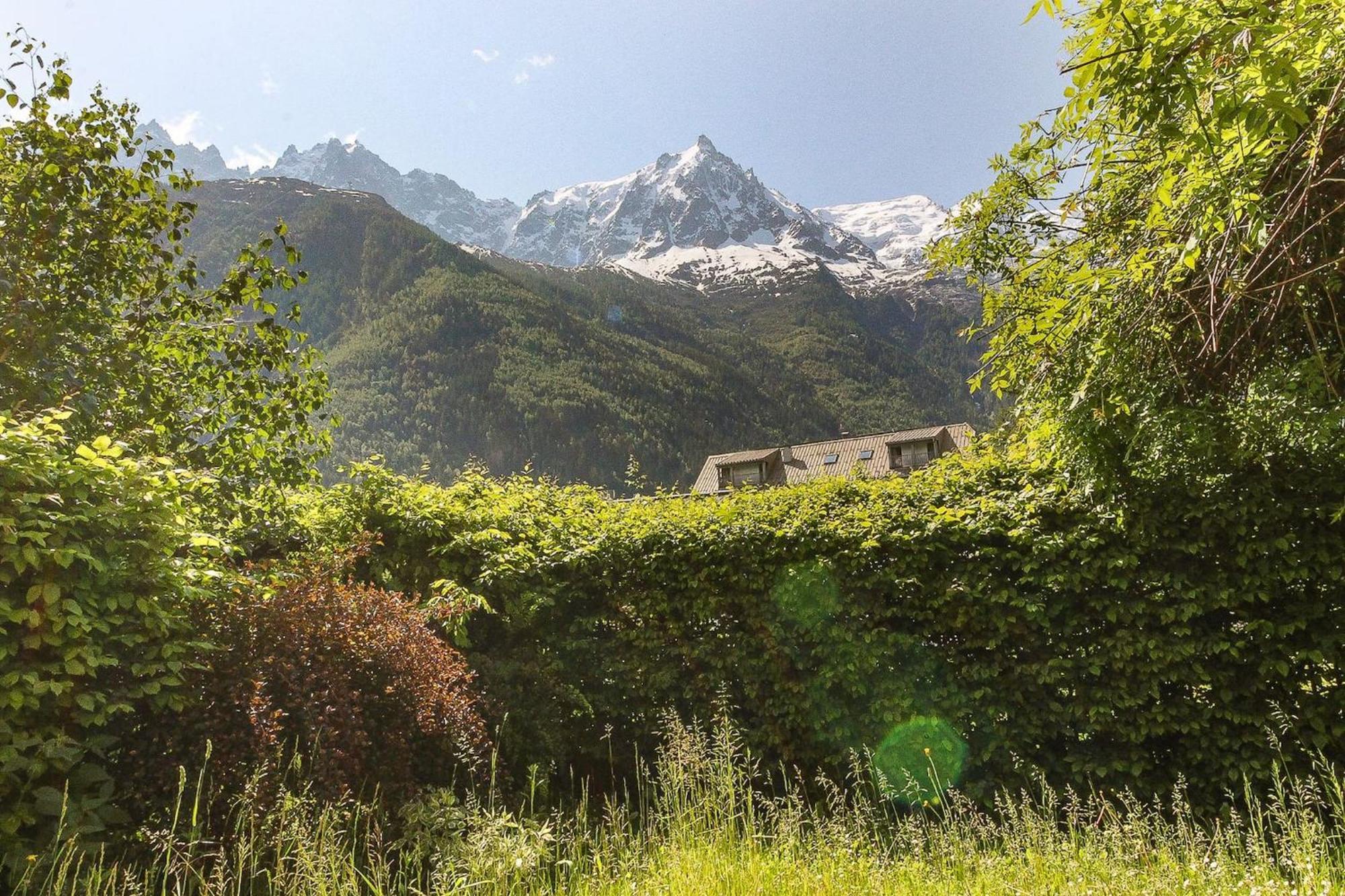 Les Alpins - Centre De Chamonix - Renove Avec Jardin Et Vue Imprenable Sur Le Montblanc Apartamento Exterior foto